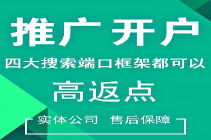 百度SEO推广策略全解析：某企业从零到一的成长历程